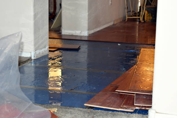Professional Sewage Cleanup technician working in Bynum, TX